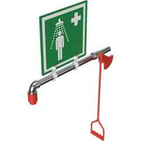 Drench Shower, Water Ring Main Mount OSI Industrial Sales