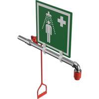 Drench Shower, Water Ring Main Mount OSI Industrial Sales