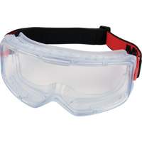 Safety Goggles