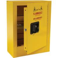 Armoire de s&eacute;curit&eacute; miniature pour produits inflammables, 2 gal., 1 Porte(s), 17" La x 22" h x 8" p OSI Industrial Sales