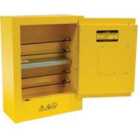 Armoire de s&eacute;curit&eacute; miniature pour produits inflammables, 2 gal., 1 Porte(s), 17" La x 22" h x 8" p OSI Industrial Sales