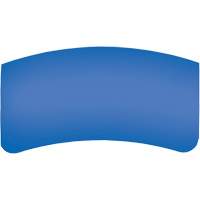 Lentille ext&eacute;rieure Bullard GenVX PETG OSI Industrial Sales