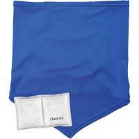 Chill-Its 6482 Cooling Neck Gaiter Bandana with Rechargeable Phase Change Packs, Small/Medium, Blue OSI Industrial Sales