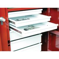 Rolling Work Bench, 49-7/8" W x 40-5/8" H x 26-7/8" D, 24.6 Cubic Feet Capacity OSI Industrial Sales