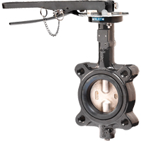 Butterfly Valves - Series BFV, 2" Pipe, 225 PSI OSI Industrial Sales