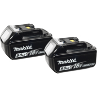 Blocs-piles, Lithium-ion, 18 V, 5,0 A OSI Industrial Sales