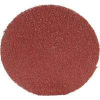 Disque 361F Roloc, 1-1/2" dia., Grain P100, Oxyde d'aluminium OSI Industrial Sales