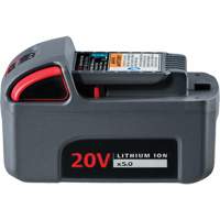 Pile haute capacit&eacute; IQV20, Lithium-ion, 20 V, 5 Ah OSI Industrial Sales