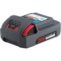 Batterie de s&eacute;rie IQV20, Lithium-ion, 20 V, 2,5 Ah OSI Industrial Sales