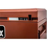 Armoire Site-Vault, 30" x 20" x 19-3/4", Acier, Orange OSI Industrial Sales