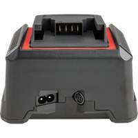 2.5 Ah & 5.0 Ah Battery Charger, 120 V, Lithium-Ion OSI Industrial Sales