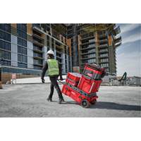 Coffre &agrave; outils roulant Packout, 15-4/5" x 34" x 28", Rouge OSI Industrial Sales