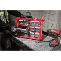 PACKOUT Tilt Bin Organizer, 15-1/5" x 19-7/10" x 6-7/10", Black/Red OSI Industrial Sales