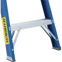 Industrial Duty Stepladders (6300 Series), 4', Fibreglass, 250 lbs. Capacity, Type 1 OSI Industrial Sales