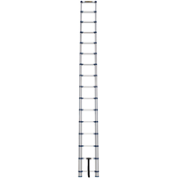 Telescopic Ladder, 3' - 15.5', Aluminum, 250 lbs. Capacity, Type 1 OSI Industrial Sales