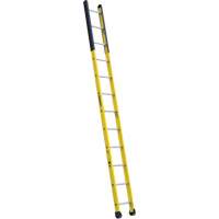 Single Manhole Ladder, 12', Fibreglass, 375 lbs., CSA Grade 1AA OSI Industrial Sales
