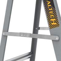 Step Ladder with Paint Tray, 6', Fibreglass, 225 lbs. Capacity, Type 2 OSI Industrial Sales