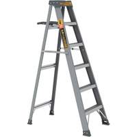 Step Ladder with Paint Tray, 6', Fibreglass, 225 lbs. Capacity, Type 2 OSI Industrial Sales
