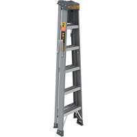 Step Ladder with Paint Tray, 6', Fibreglass, 225 lbs. Capacity, Type 2 OSI Industrial Sales