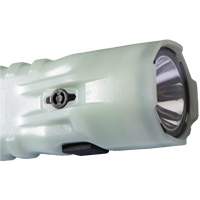 Flashlight, LED, 378 Lumens, AA Batteries OSI Industrial Sales