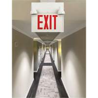 Exit Sign with Security Lights, LED, Battery Operated/Hardwired, 12-1/10" L x 11" W, English OSI Industrial Sales