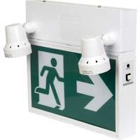 Running Man Sign with Security Lights, LED, Battery Operated/Hardwired, 12-1/10" L x 11" W, Pictogram OSI Industrial Sales