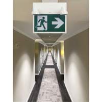Running Man Sign with Security Lights, LED, Battery Operated/Hardwired, 12-1/10" L x 11" W, Pictogram OSI Industrial Sales