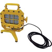 Explosion Proof Floodlight with Stand, LED, 40 W, 5600 Lumens, Aluminum Housing OSI Industrial Sales