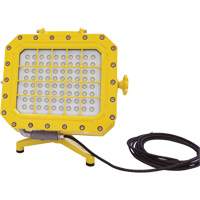 Explosion Proof Floodlight with Floor Stand, LED, 40 W, 5600 Lumens, Aluminum Housing OSI Industrial Sales