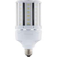 Ampoule HID de remplacement s&eacute;lectionnable ULTRA LED, E26, 18 W, 2700 lumens OSI Industrial Sales