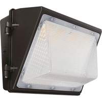 Ensemble mural sans interruption, DEL, 120 - 277 V, 75 - 110 W, 9,33" ha x 6,65" la x 14,5" p OSI Industrial Sales