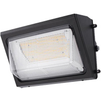 Wall Pack Light Fixture, LED, 120 -347 V, 80 W OSI Industrial Sales