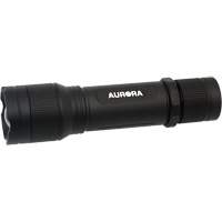 Lampe de poche IP67, DEL, 2000 lumens, Piles Rechargeable OSI Industrial Sales