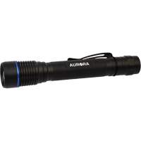 Lampe de poche IPX7, DEL, 250 lumens, Piles AA OSI Industrial Sales