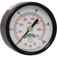 Economy Pressure Gauge, 2" , 0 - 160 psi, Back Mount, Analogue OSI Industrial Sales